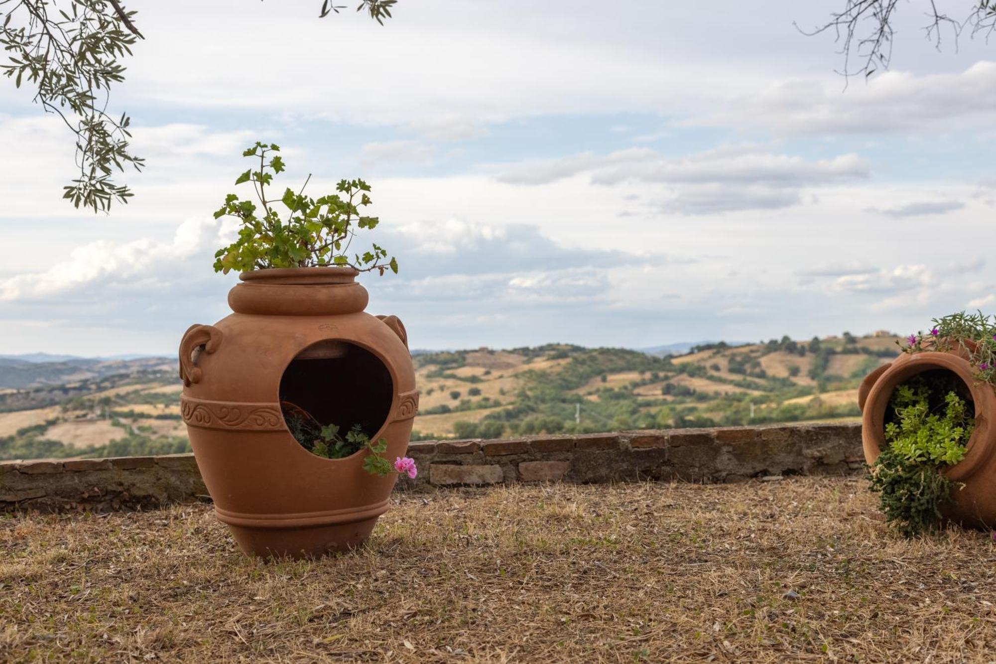 Tenuta Fattoria Vecchia Scansano Kültér fotó